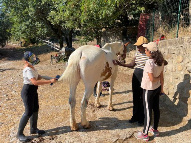 Jeunes pré ado en colo de vacances Equitation cet été à Aubenas 