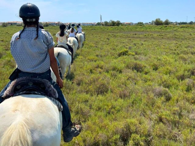 Balade en nature équitation en colo de vacances à St Martin de Crau cet été