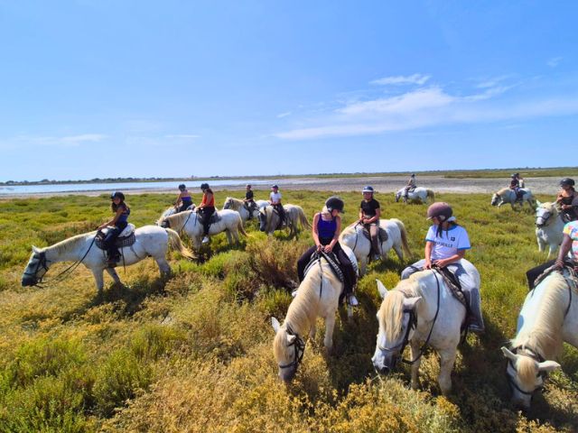 Equitation en camargue cet été en colonie de vacances