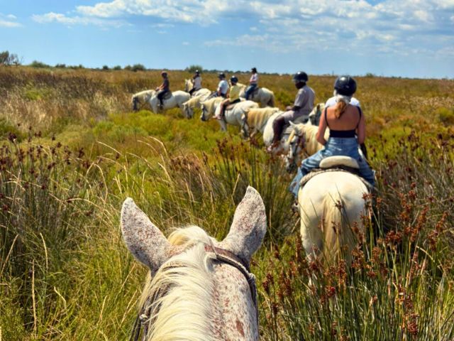 Pré ado en colonie de vacances cet été spéciale équitation à St Martin de Crau