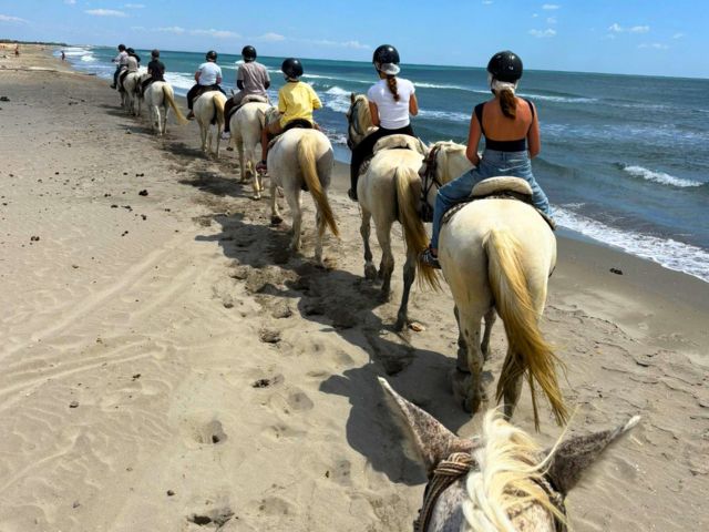 Balade en bord de mer en colo équitation cet été