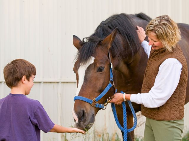 Jeune garçon de 11 ans en colonie de vacances équitation cet été