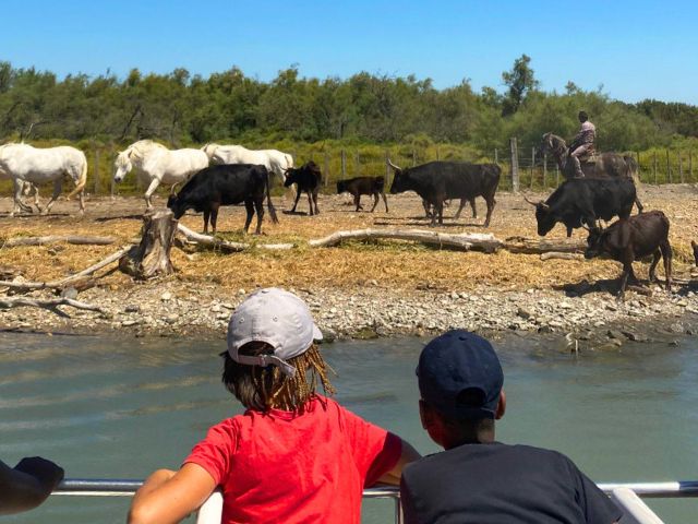 Excursion en bateau cet été en colo pour pré ado à St Martin de Crau 
