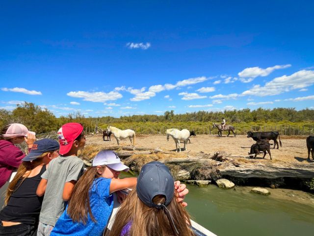 Excursion en bateau cet été en colo pour pré ados à St Martin de Crau