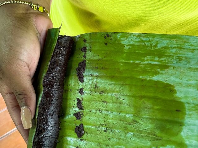 Colo de vacances Martinique