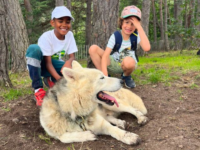 Enfants en activité cani randonnée cet été