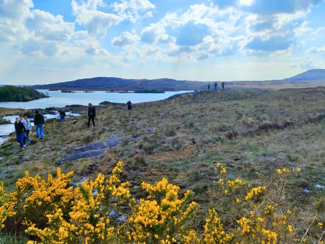 Paysage en Irlande cet été
