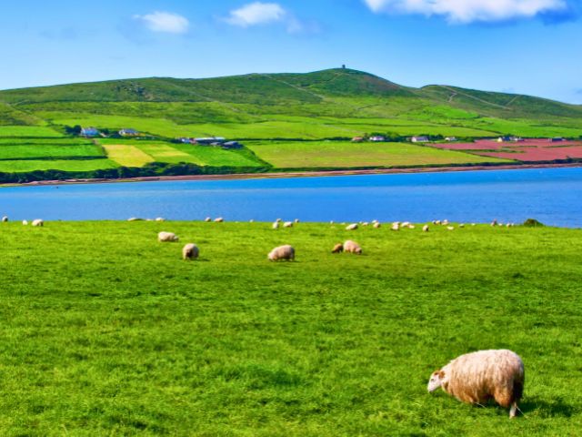 Irlande en colo de vacances cet été pour les ados