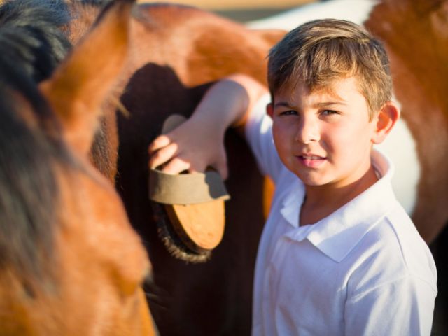 Jeune garçon en colo poney cet été en colo de vacances