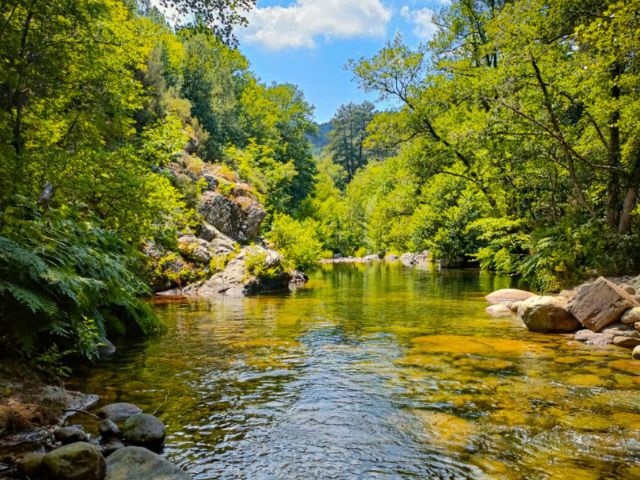 Rivière ou les jeunes vont se baigner en Corse cet été