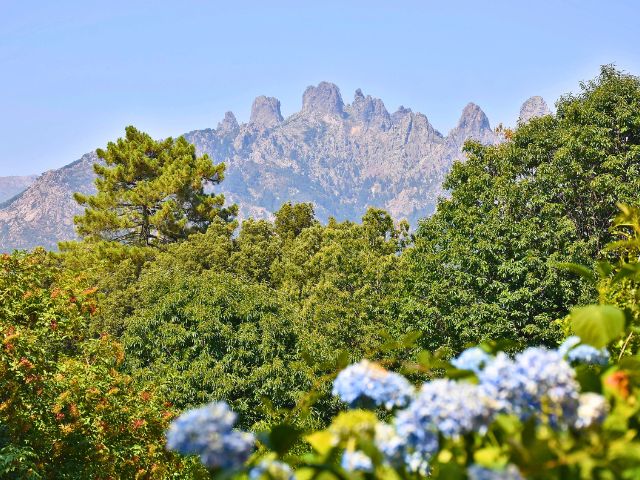 Région de Zonza en colo de vacances en Corse cet été