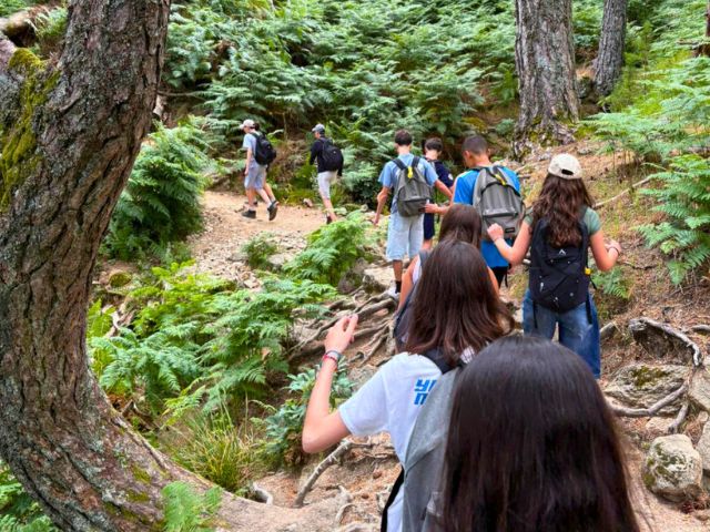 Balade en foret en colo de vacances en Corse cet été