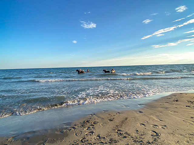 plage de sable fin au bord de la méditerranée en été