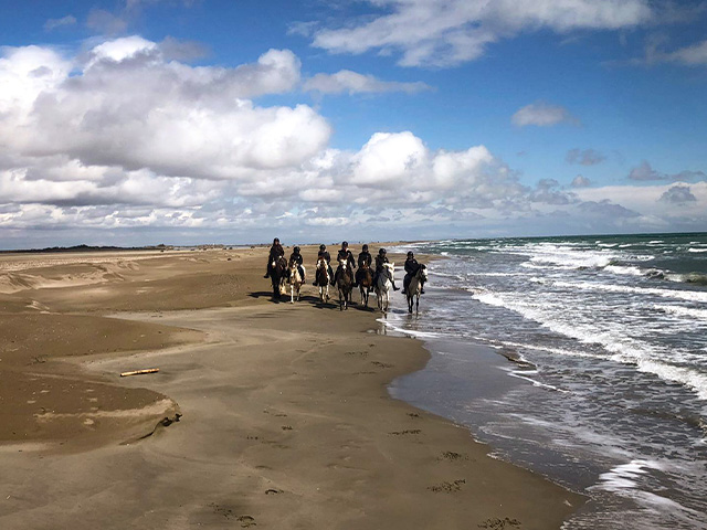 balade à cheval le long des plages camarguaises