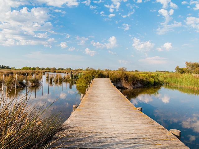 photo d'un paysage de la camargue séjour équitation été