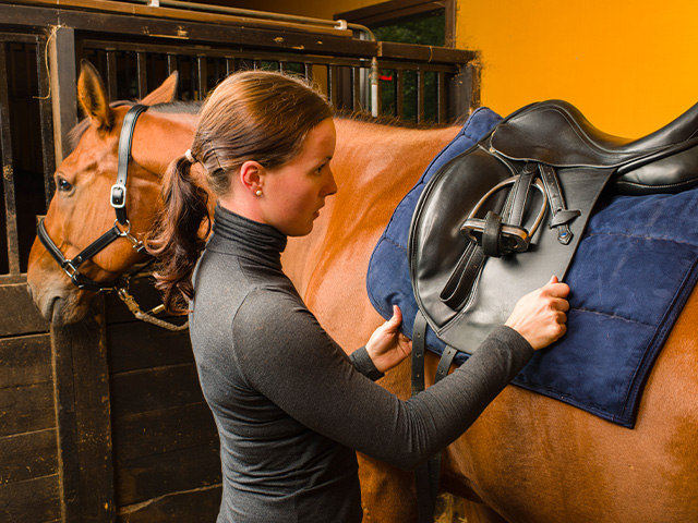 adolescente préparant sa monture en colo équitation