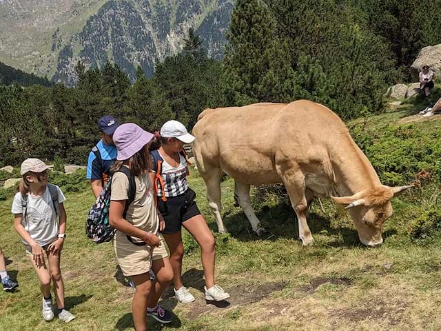 Enfants et vache en vacances