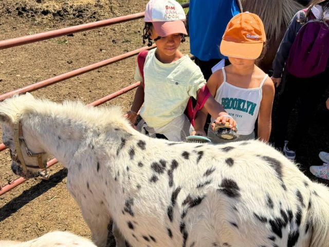 Séjour à la ferme de l'Aoueille
