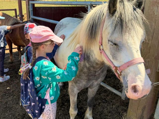 Session poneys en colo cet été