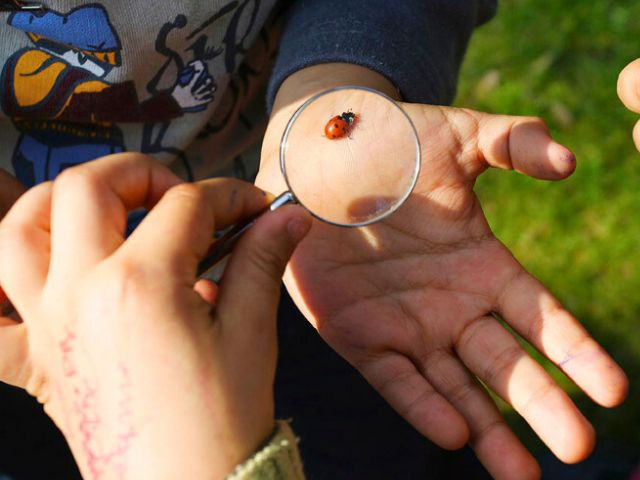 Equitation dans le Pays Basque
