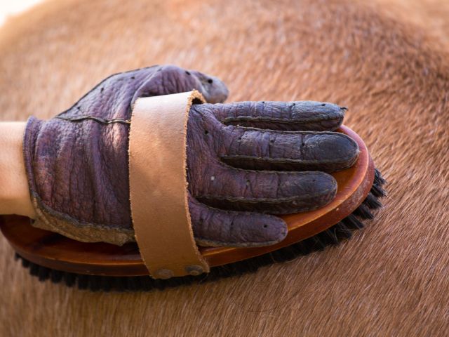 Equitation dans le Pays Basque