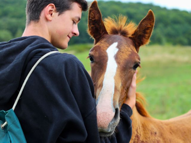 Equitation dans le Pays Basque