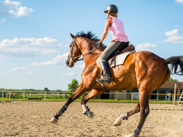 Equitation dans le Pays Basque