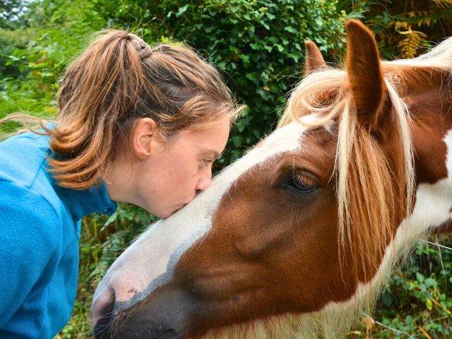 Equitation dans le Pays Basque