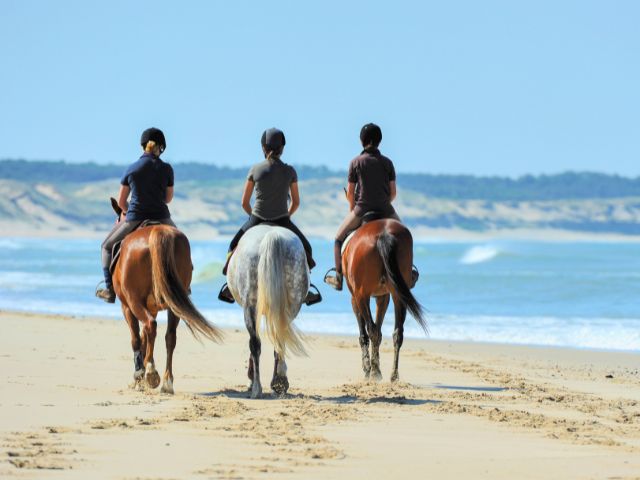 Equitation dans le Pays Basque