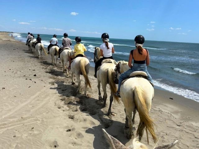 Equitation dans le Pays Basque