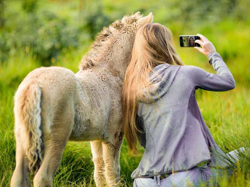 Jeune fille en colonie de vacances qui se prend en selfie avec son ane