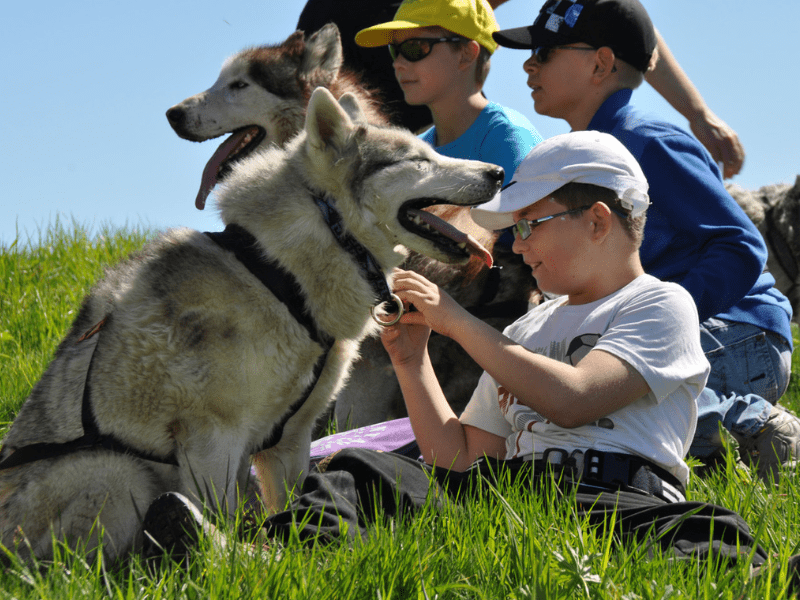 Groupe de jeunes de 10 à 14 ans en colonie de vacances en pleine nature durant l'activité cani-randonnée