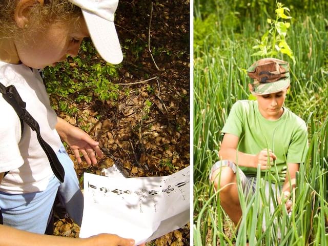 Enfants en colonie de vacances multi activités en pleine nature cet été dans le Vercors