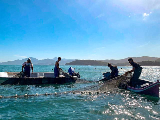 Activité bateau en colo de vacances au Brésil cet été