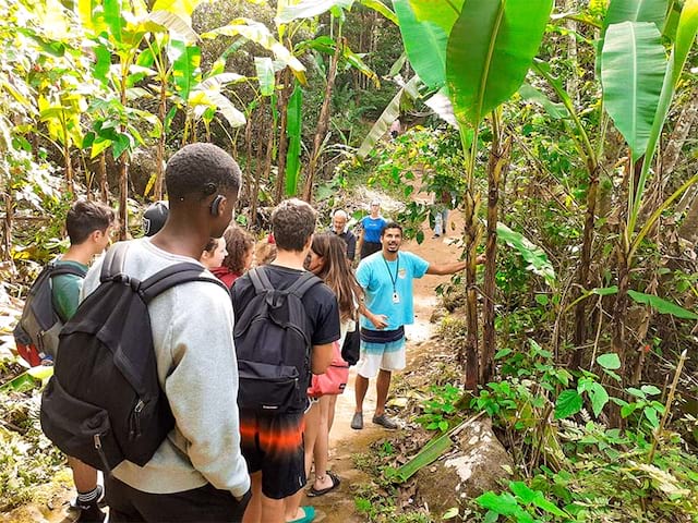 Exploration dans la jungle brésilienne en colo de vacances durant l'été 