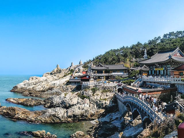 temple boudhiste busan falaise bord de mer colonie de vacances pour ados