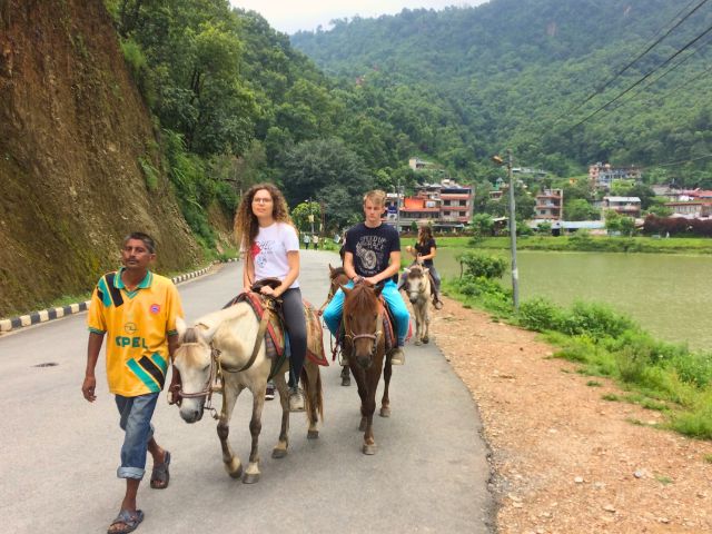 Session equitation en colo de vacances cet été