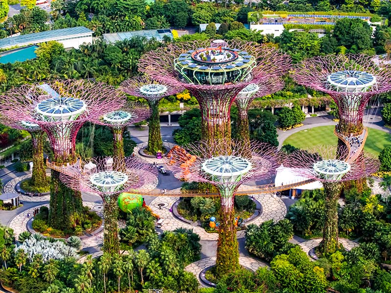 garden trees singapour été voyage pour ados