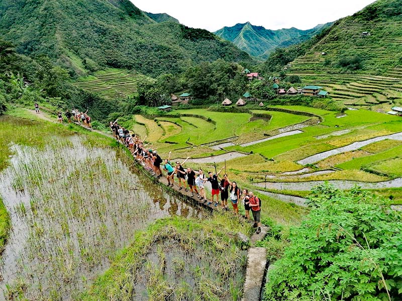randonnée rizière et cultures de thé philippines été ados