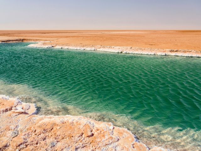 Chott el Djerid : vaste plaine saline réputée pour ses mirages