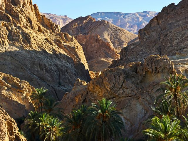 Oasis de Chebika et Tamerza en Tunisie