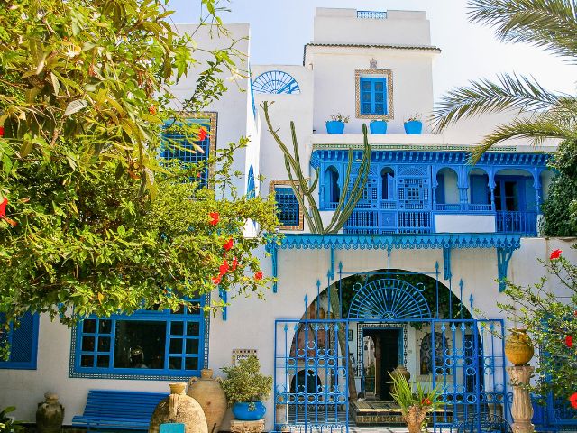 Excursion à Sidi Bou Said : village pittoresque aux maisons blanches et portes bleues