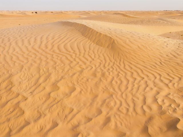 Desert en colo de vacances cet été
