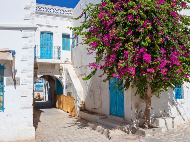 Excursion à Sidi Bou Said : village pittoresque aux maisons blanches et portes bleues