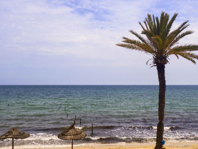 Colo de vacances en Tunisie cet été