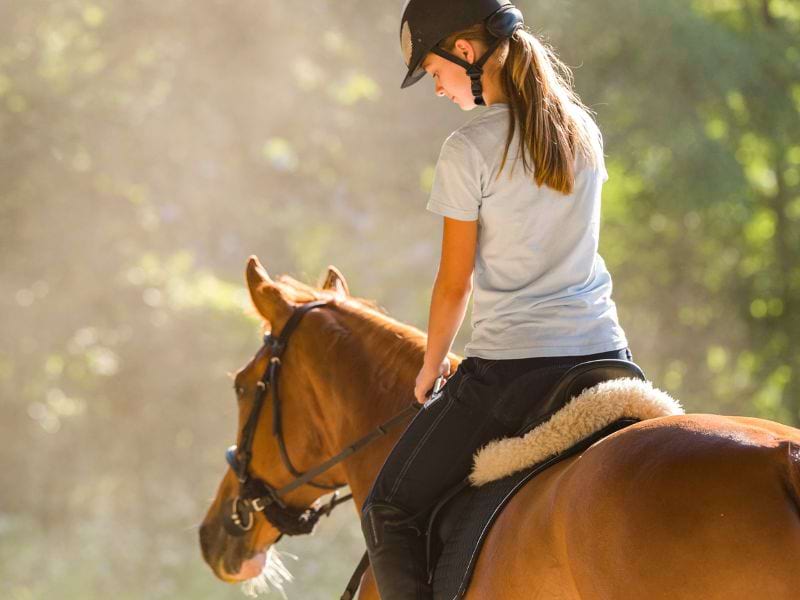 Session équitation en colo de vacances multi activités cet été