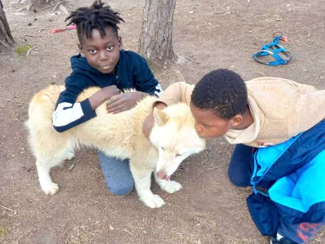 Deux enfants en colo de vacances cani rando cet été