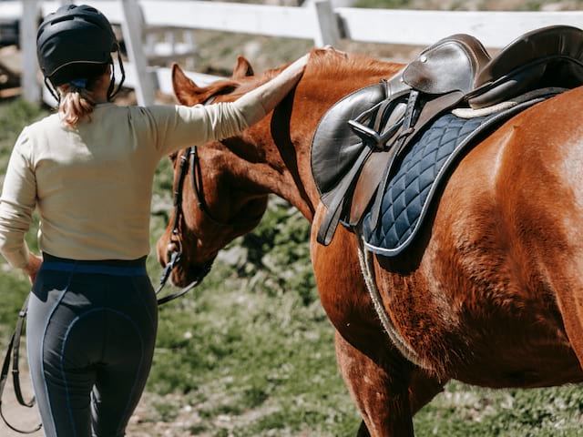 Session équitation en colonie de vacances cet été