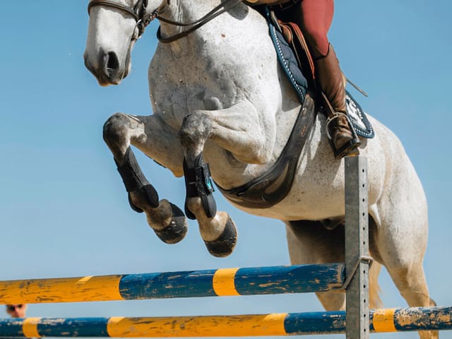 Session équitation en  colo de vacances cet été