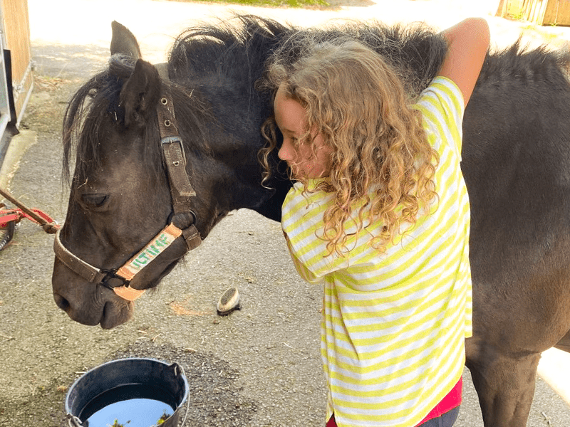 Jeune fille qui s'amuse en s'occupant de son poney en colo de vacances équitation cet été